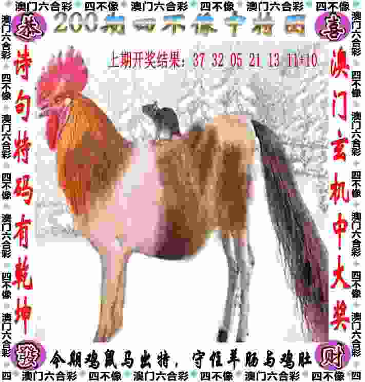 >管家婆中特王中王
